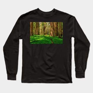 Redwood Forest Long Sleeve T-Shirt